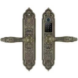 Khóa vân tay tân cổ Demax EL350 Green Bronze